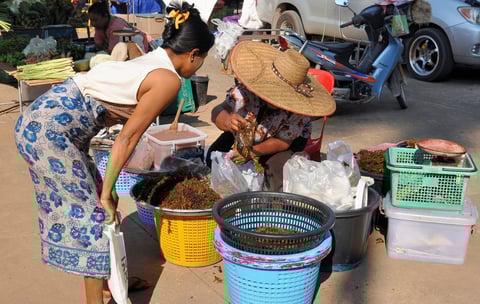 marché du Wat Tham SIng
