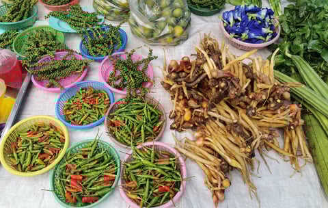 ตลาดนัด ฝนทอง (Talat Nat Fontok), Chumphon 