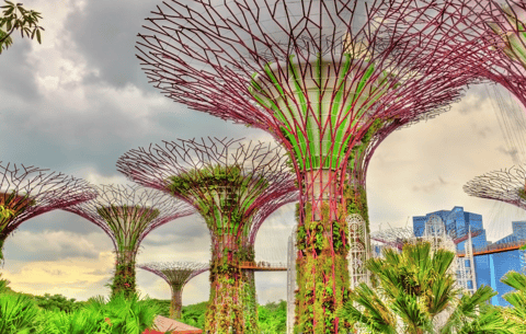 a park in Singapore