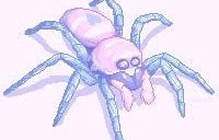 Cotton Candy Spider