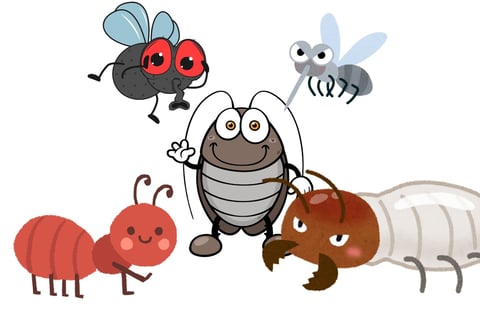a cartoon of different insect pests