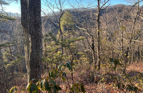 spectacular view from the spec mine trail in the woods