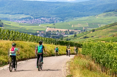 Biking in Alsace in vineyards