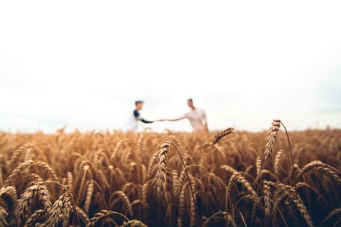 a farmer shaking hands with someone in a wheat fields