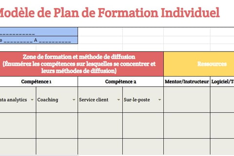 modele Plan de formation individuel exemple