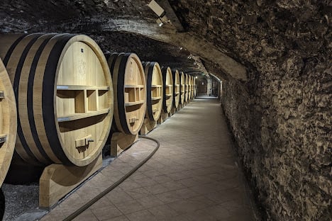 Wine cellar with big wooden oak barrels Provence
