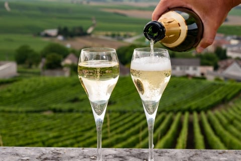 Champain served in glasses with vineyards