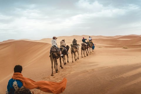 cosa vedere a Marrakech, tour in cammello