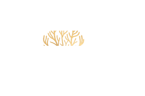 Boké Logo