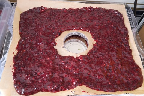 Blitzed blackerry on a tray