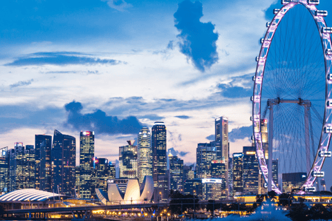 a ferris wheel in the middle of a city of Singapore