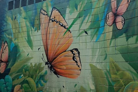 Beco do Batman, zona artistica di San Paolo