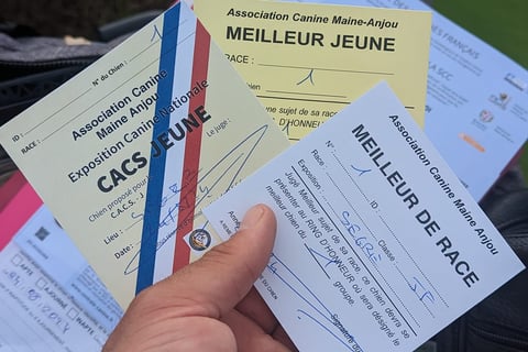 U'éris de la grotte des oneiroi CACS jeune et meilleur de race