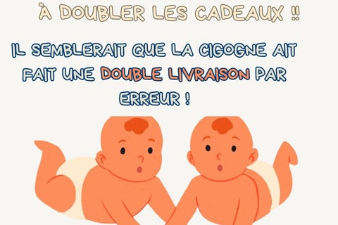 image annonce grossesse humour jumeaux