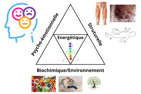 Triangle de santé en kinésiologie