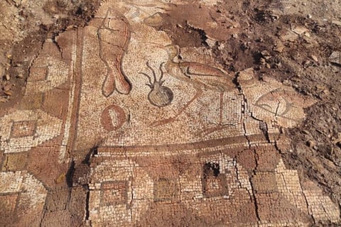 Roman Mosaics Featuring Sea Creatures Unearthed In Turkey