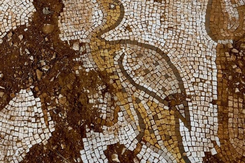 Roman Mosaics Featuring Sea Creatures Unearthed In Turkey