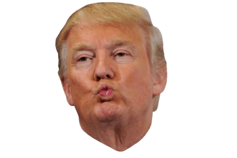 donald trump face meme