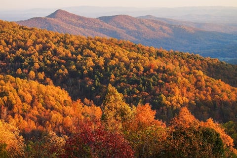A mountain scene in the fall with leaves turning orange