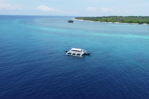 balicasag island tour image