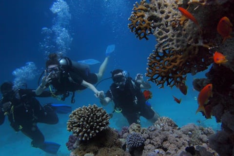 Enjoy Safe and Guided Snorkeling