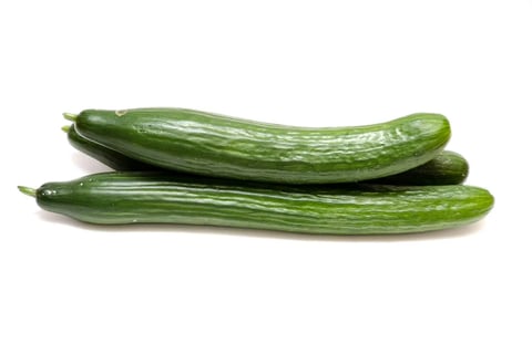 Concombre vert foncé, droit et ferme