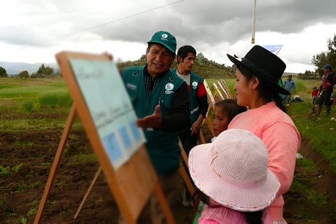 negocio-y-valores-alfredo-tapia-rizzo-cultivos-5