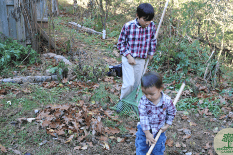 Fall Garden cleanup