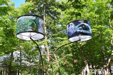 rue Cartier, luminaires.