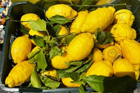 caixa cheia de limões sicilianos