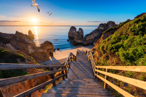a wooden staircase leading to a beach