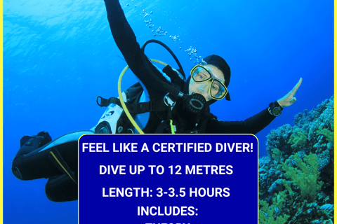 Scuba Diving Underwater with Gili Scuba Diving Centre