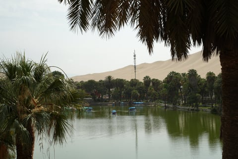 Paddling boats on the lagoon of Huacachina Oasis surrounded by trees