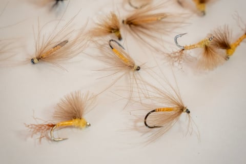 South Holston River Sulfur Dry Flies