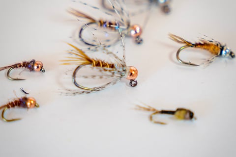 South Holston River Fly Patterns