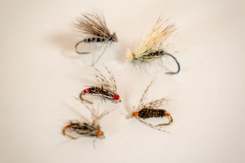 Watauga River Trout Flies