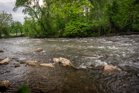 Sycamore Shoals Elizabethton TN Fly Fishing