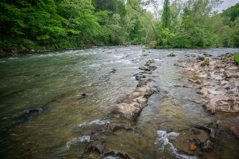 Watauga River Fly Fishing Elizabethton Tennessee