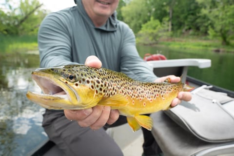 May 2025 South Holston River Fishing Report