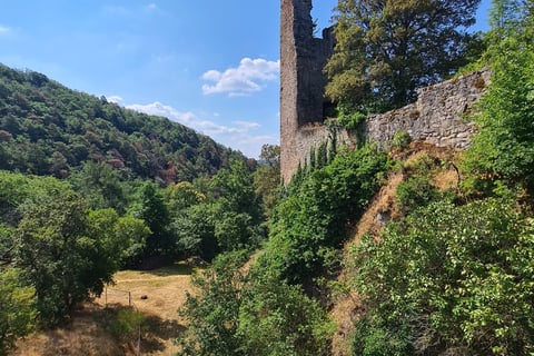 Bad Münster, Altenbaumburg, Uhu Trail