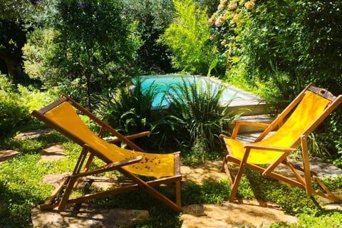 small space was optimized through simple biophilic design
