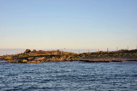 Clôture bois réalisée par AJ Paysagiste à Chausey, intégrée dans le paysage côtier naturel