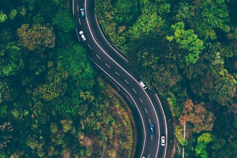 Well crafted highway within a forest (Physical representation of diet-mood connection)