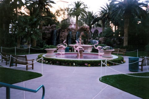 Flamingo Las Vegas