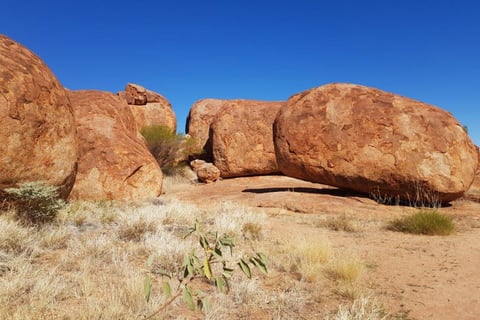Karlu Karlu