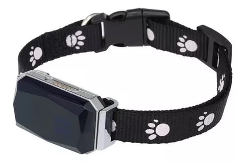 COLEIRA COM GPS PARA PETS