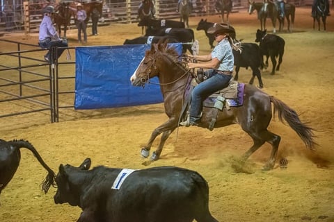 Team penning