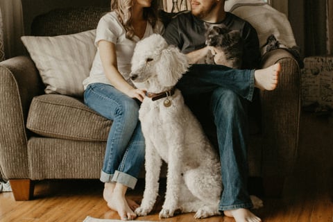 a pet with family image