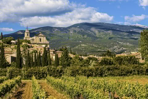 Vineyard and village church in Luberon Provecne