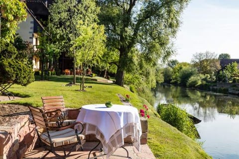 Relaxing time along the Ill river in Alsace